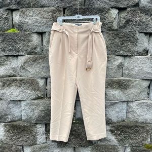 Express High Rise Ankle Pants